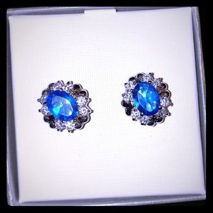.925 Sterling Silver Earrings